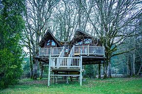 Out 'N' About Treehouse Treesort