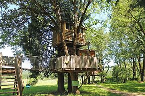 Out 'N' About Treehouse Treesort