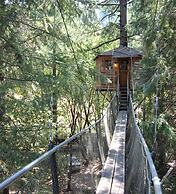 Out 'N' About Treehouse Treesort