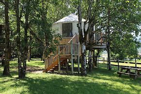 Out 'N' About Treehouse Treesort