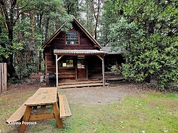 Out 'N' About Treehouse Treesort