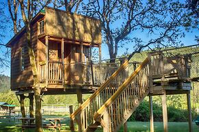 Out 'N' About Treehouse Treesort