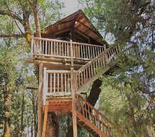 Out 'N' About Treehouse Treesort