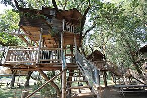 Out 'N' About Treehouse Treesort