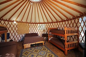 Out 'N' About Treehouse Treesort