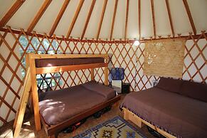 Out 'N' About Treehouse Treesort