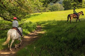 Out 'N' About Treehouse Treesort