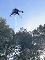 Out 'N' About Treehouse Treesort