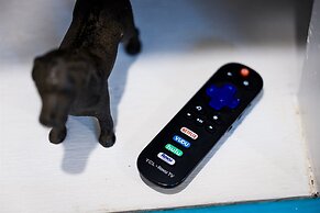 Cape Charles Tiny Livin