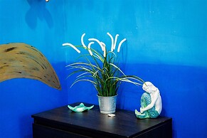 Cape Charles Tiny Livin