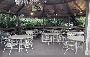 Bahama Bay Resort Disney Area