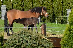 Pokoje Gościnne Pienińska Parzenica
