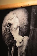 Pokoje Gościnne Pienińska Parzenica