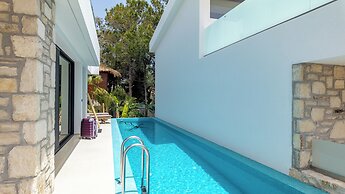 D Palm Premium Living