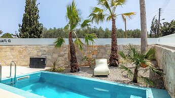 D Palm Premium Living