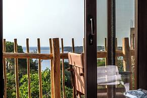 D Palm Premium Living