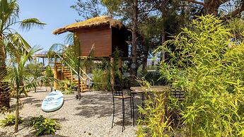 D Palm Premium Living