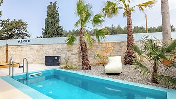 D Palm Premium Living