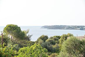 D Palm Premium Living