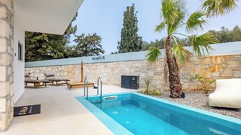 D Palm Premium Living