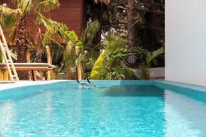 D Palm Premium Living