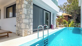 D Palm Premium Living