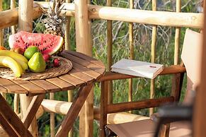 D Palm Premium Living