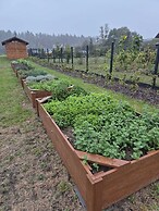 Siedlisko Milachowo luxury wellness