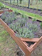 Siedlisko Milachowo luxury wellness