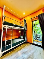 Autumn Hanoi House Bat Su