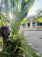 Nautilus Hostel & Hammocks