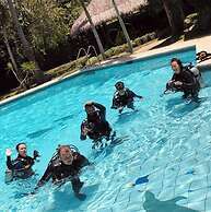 Nautilus Hostel & Hammocks