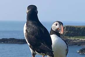 Cottage-isleofmull-stunningviews-wifi-parking