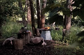 Off-grid Cork Cabin With It's Own Island