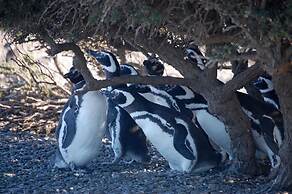 Fenton's  Lodge The Big House