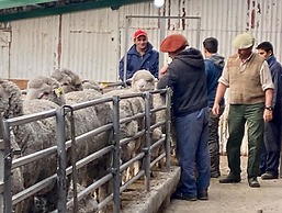 Fenton's  Lodge The Big House