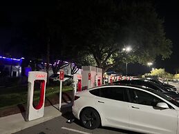 Free Parking Disney Shuttle