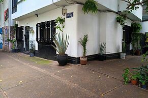 Ave Ámsterdam at Parque México