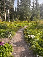 Little Atlin Lodge