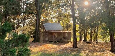 Green Frog Farm Cabins