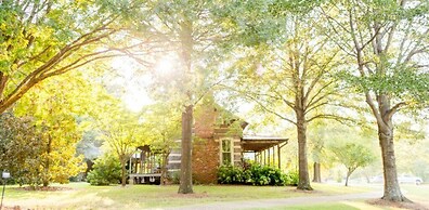 Green Frog Farm Cabins