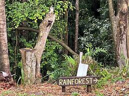Koala Cabins Mapleton