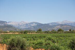 Ca n Canastro in Consell