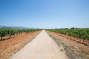 Ca n Canastro in Consell