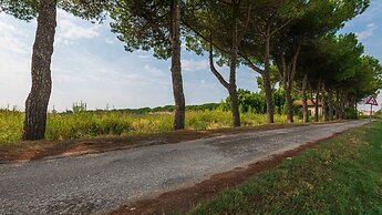 Michelangelo C-6 in Bibione