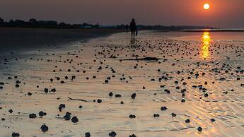 Michelangelo C-6 in Bibione