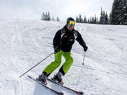Traditional Chalet With Terrace