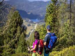 Traditional Chalet With Terrace