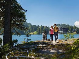 Amazing Chalet With Infrared Sauna