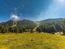 Amazing Chalet With Infrared Sauna